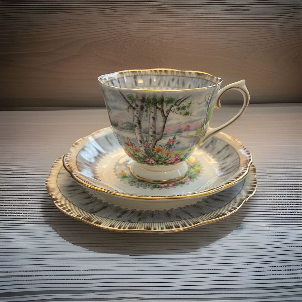 Royal Albert Bone China Silver Birch 3-piece Tea Party Set England Cottage